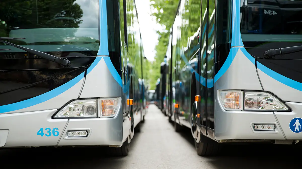Photo of charter buses parked in a city. Photo by Adobe Stock